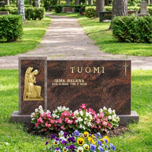 SUOJELUSENKELI Aurora