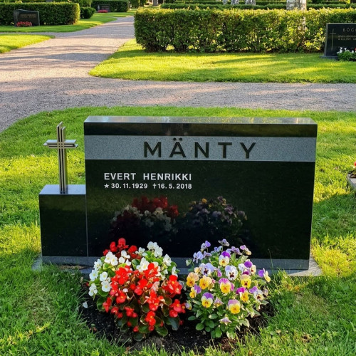 ARVO Black ARVO Black