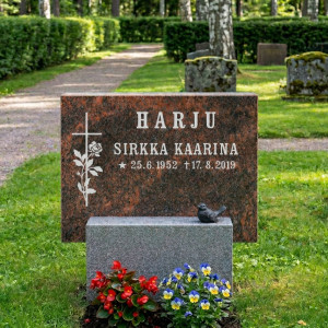 JUHANNUSRUUSU Aurora JUHANNUSRUUSU Aurora