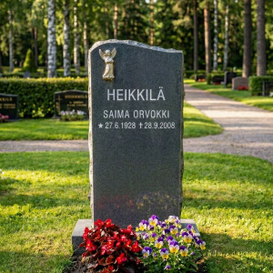 TÄHTIPÖLYÄ BLACK SL