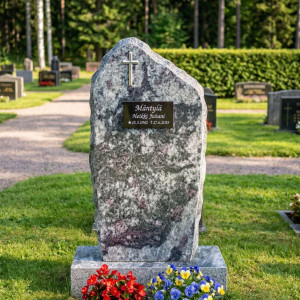 VIIMA AMADEUS SL VIIMA AMADEUS SL