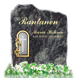 KRYSANTEEMI Amadeus KRYSANTEEMI Amadeus