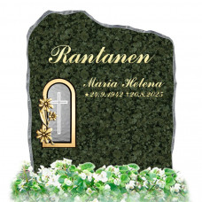 KRYSANTEEMI Baltic Green